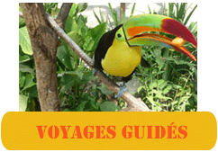 Voyage au nicaragua en ecotour